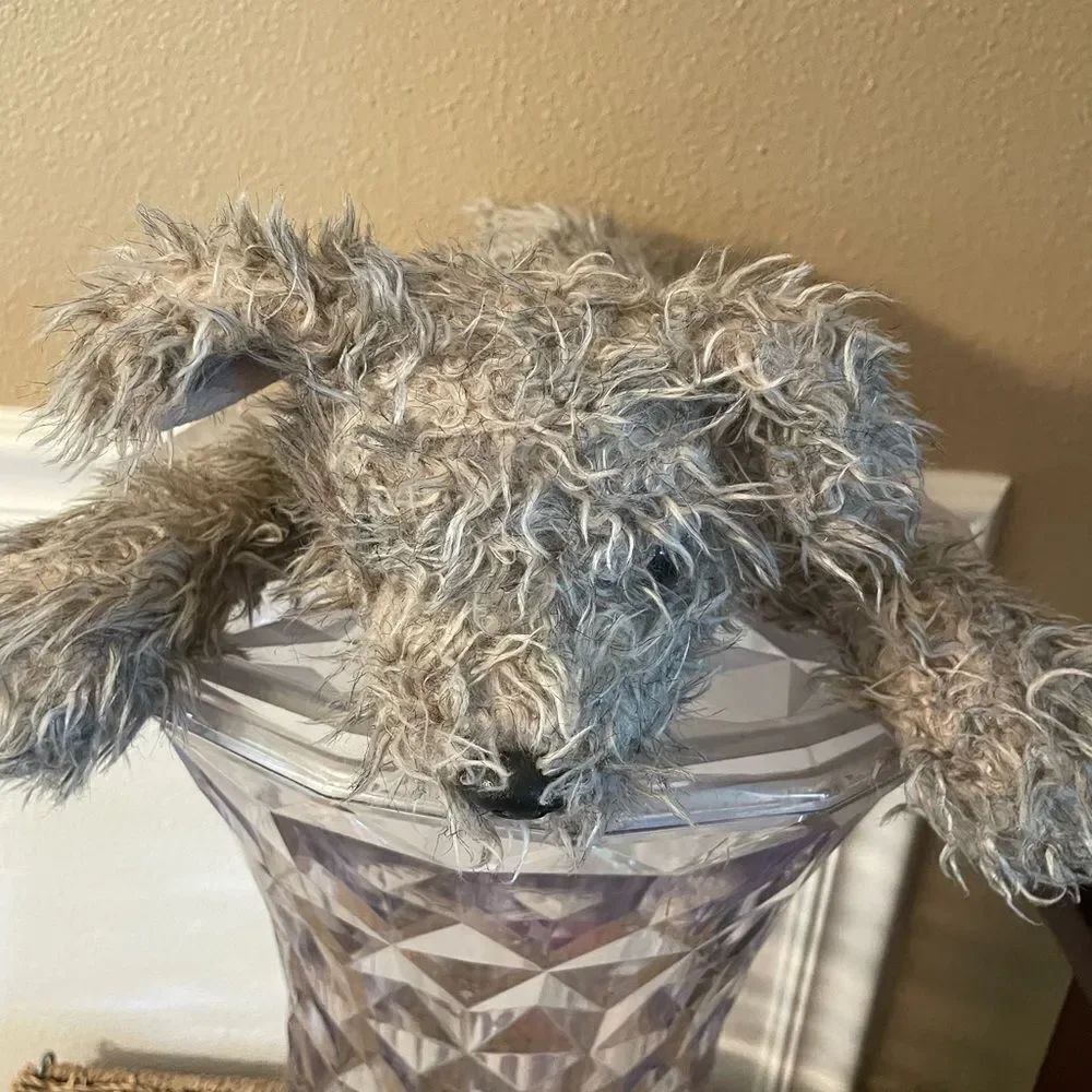 TY Rag Dog 2000 Plush Mutt Dog